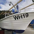 Extra picture for advert 69118