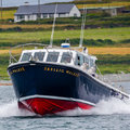 Extra picture for advert 73678