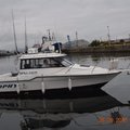 Extra picture for advert 90206