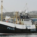 Extra picture for advert 67559