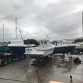 Extra picture for advert 29303