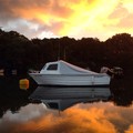Extra picture for advert 76219