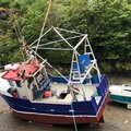 Extra picture for advert 64615