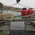 Extra picture for advert 80389