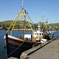 Extra picture for advert 71218