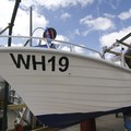 Extra picture for advert 69118