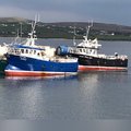 Extra picture for advert 94791