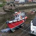 Extra picture for advert 48155