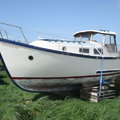 Extra picture for advert 86662