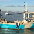 Extra picture for advert 84146
