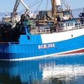 Extra picture for advert 74633