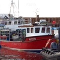Extra picture for advert 80014