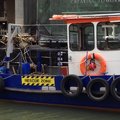 Extra picture for advert 92601