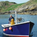 Extra picture for advert 77312