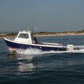 Extra picture for advert 78425