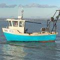Extra picture for advert 84146