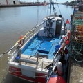 Extra picture for advert 80130