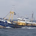 Extra picture for advert 54459