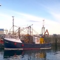 Extra picture for advert 74068