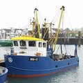 Extra picture for advert 92407