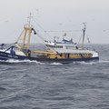 Extra picture for advert 54459