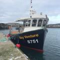 Extra picture for advert 43406