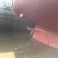 Extra picture for advert 67063
