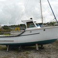 Extra picture for advert 73382
